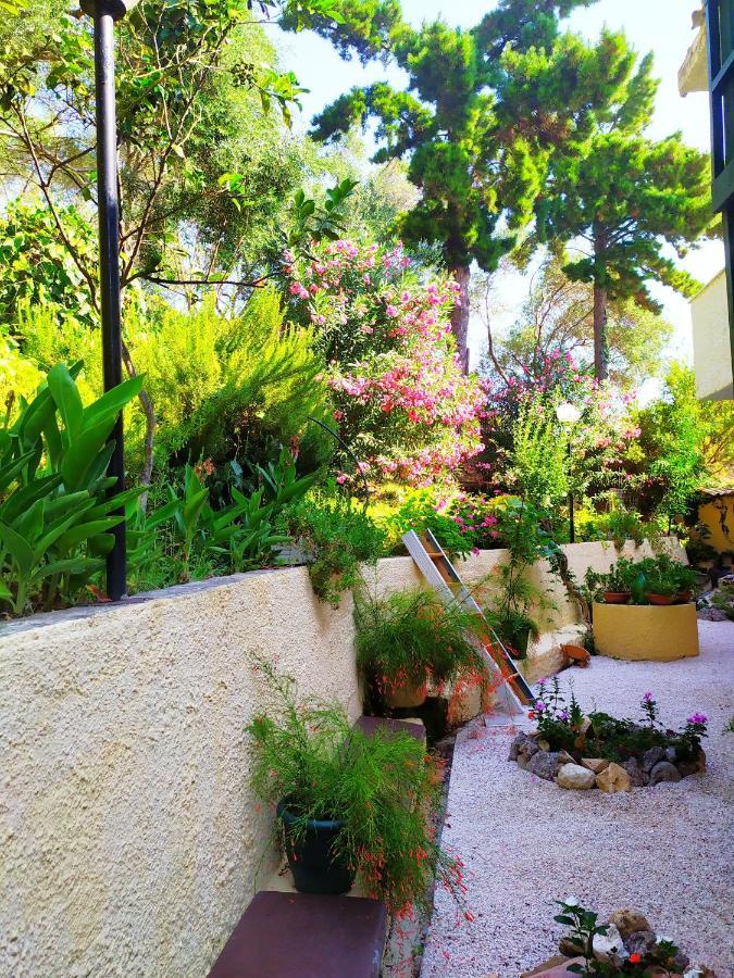 Ionian View Studios Moraḯtika Exterior foto